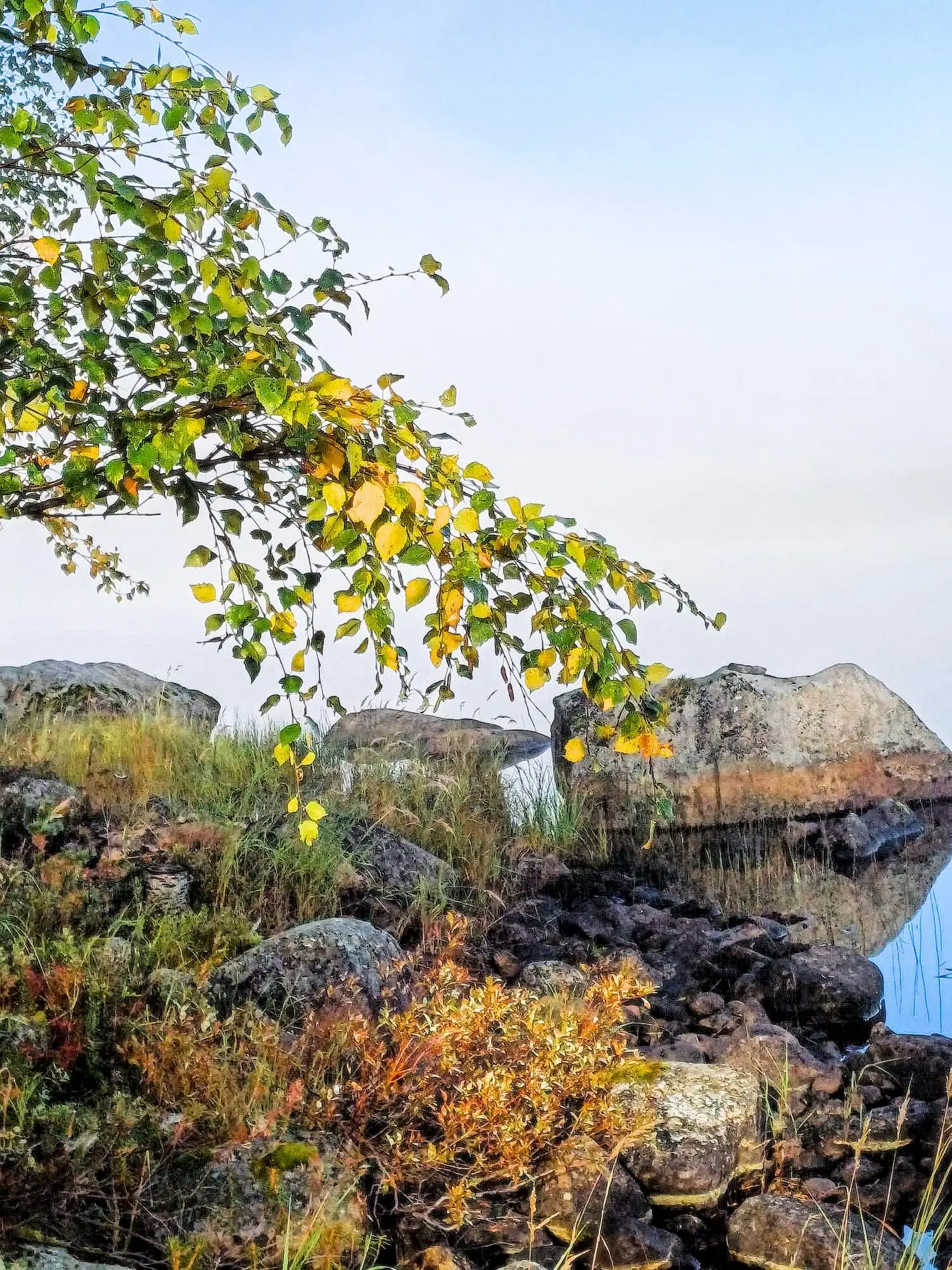 Läheinen järvi aamusumussa syyskuussa 2023