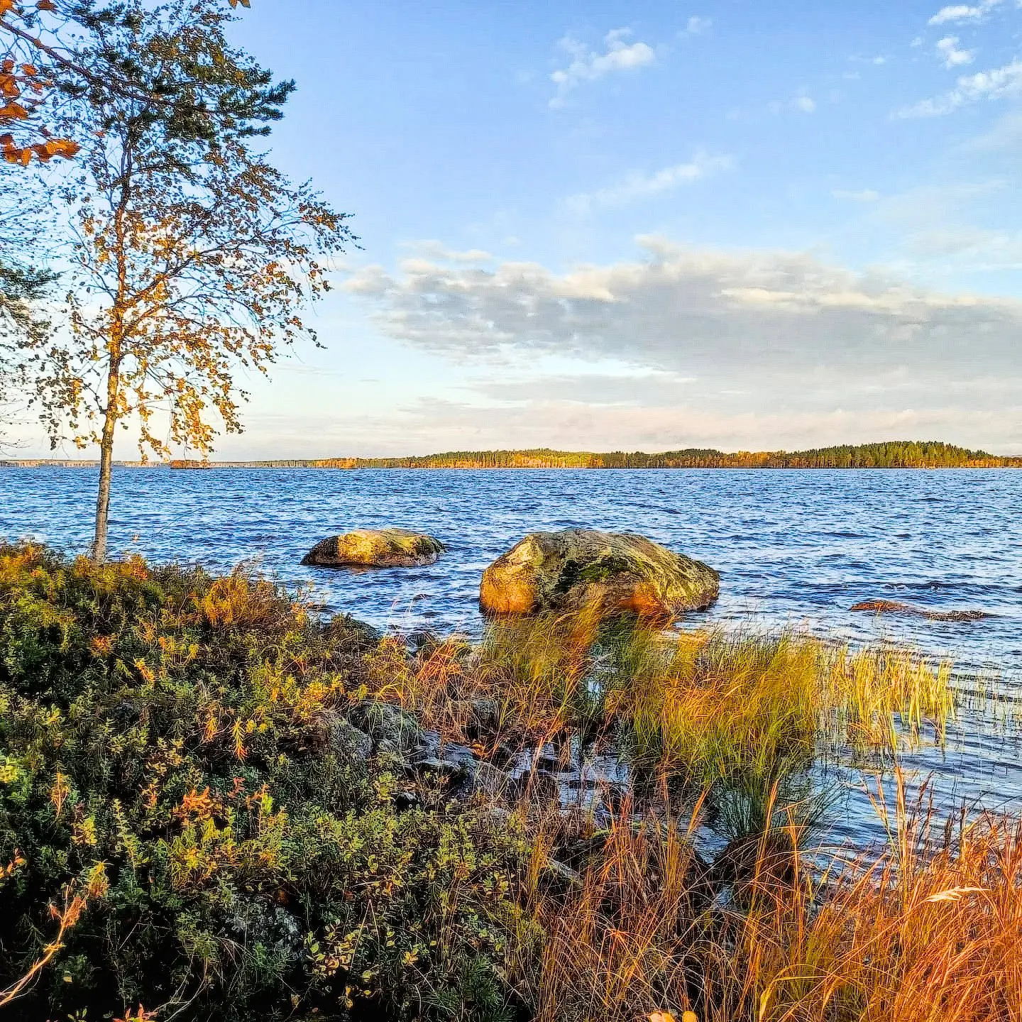Syksyn värejä järven rannalla syyskuussa 2023