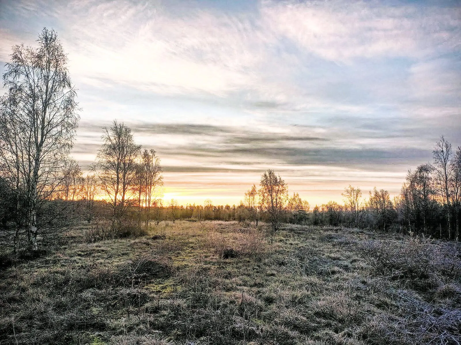 Auringonnousu hallaisen pellon yllä lokakuussa 2024