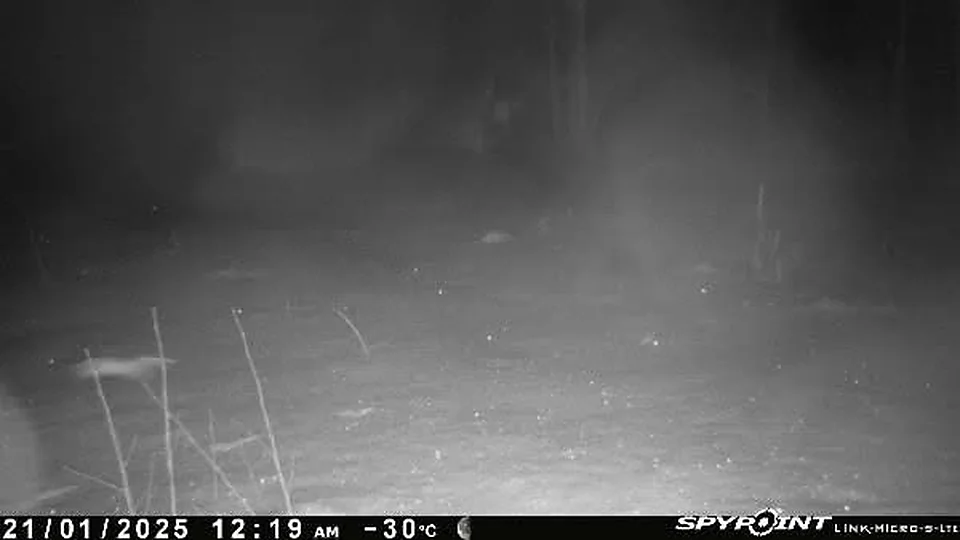 21.1.2025 klo 00:19, −30°C — pimeä talviyö