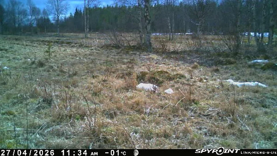 27.4.2026 klo 11:34, −1°C — kevään sulamisvaihe